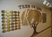 treeoflife