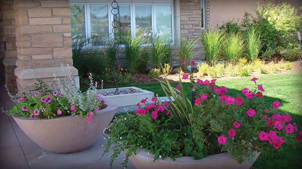 Front Entrance Garden