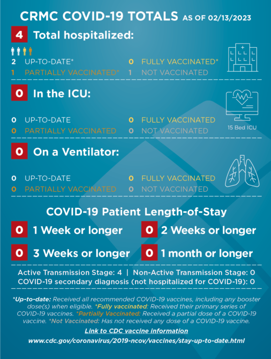 COVID-STATS-infographic-021323-530×700