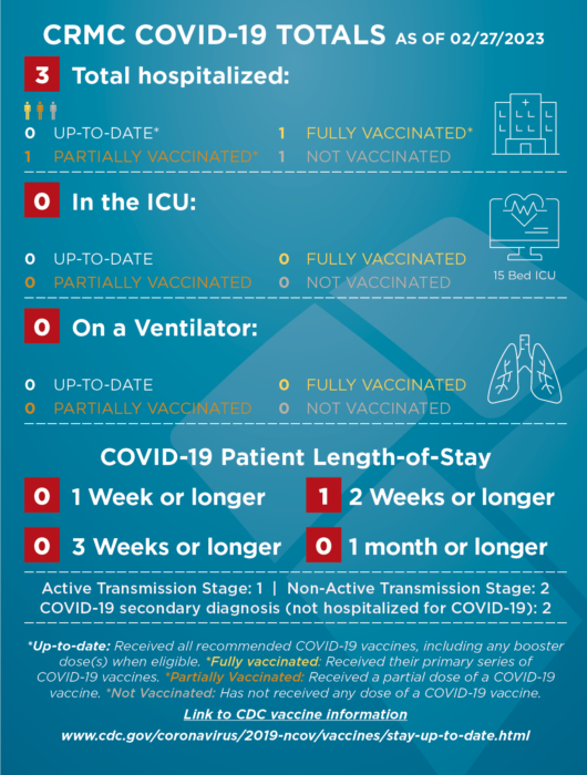 COVID-STATS-infographic-022723-530×700