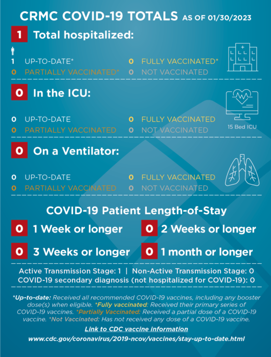 COVID-STATS-infographic-13023-530×700