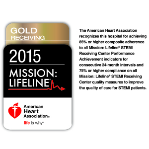 Mission: Lifeline® Gold Receiving Quality Achievement Award (2015)