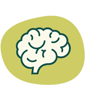 brain icon