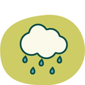 rain icon